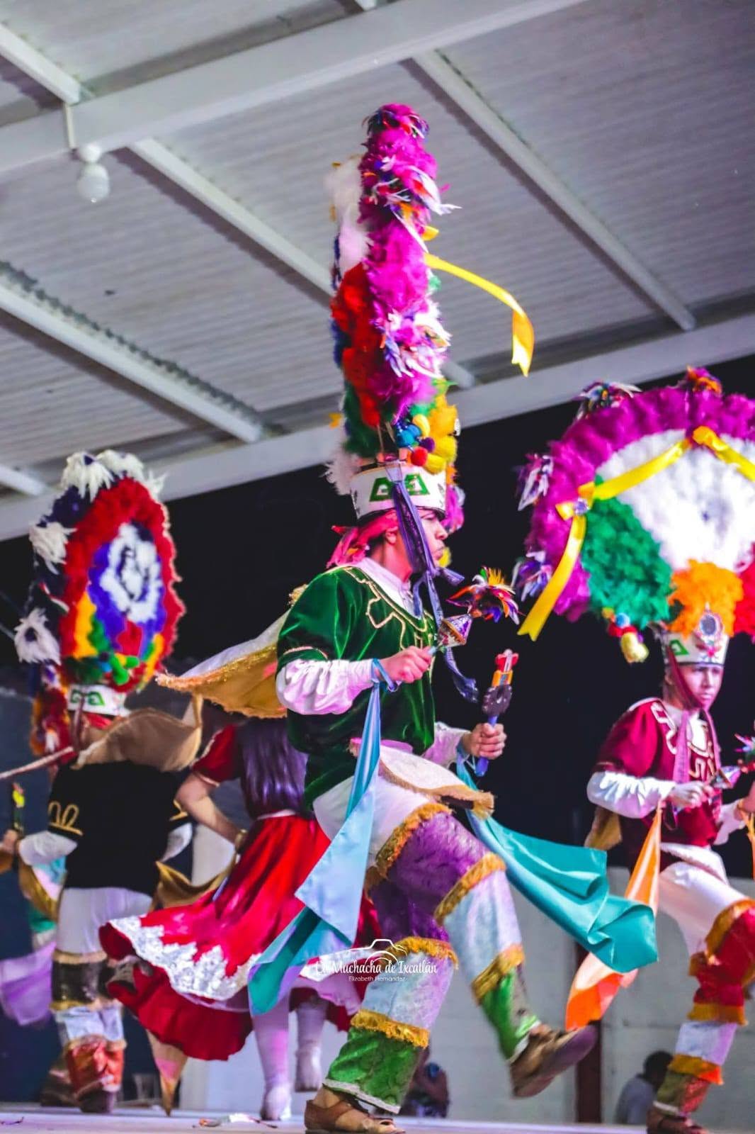Danza de la Pluma — imagen 1